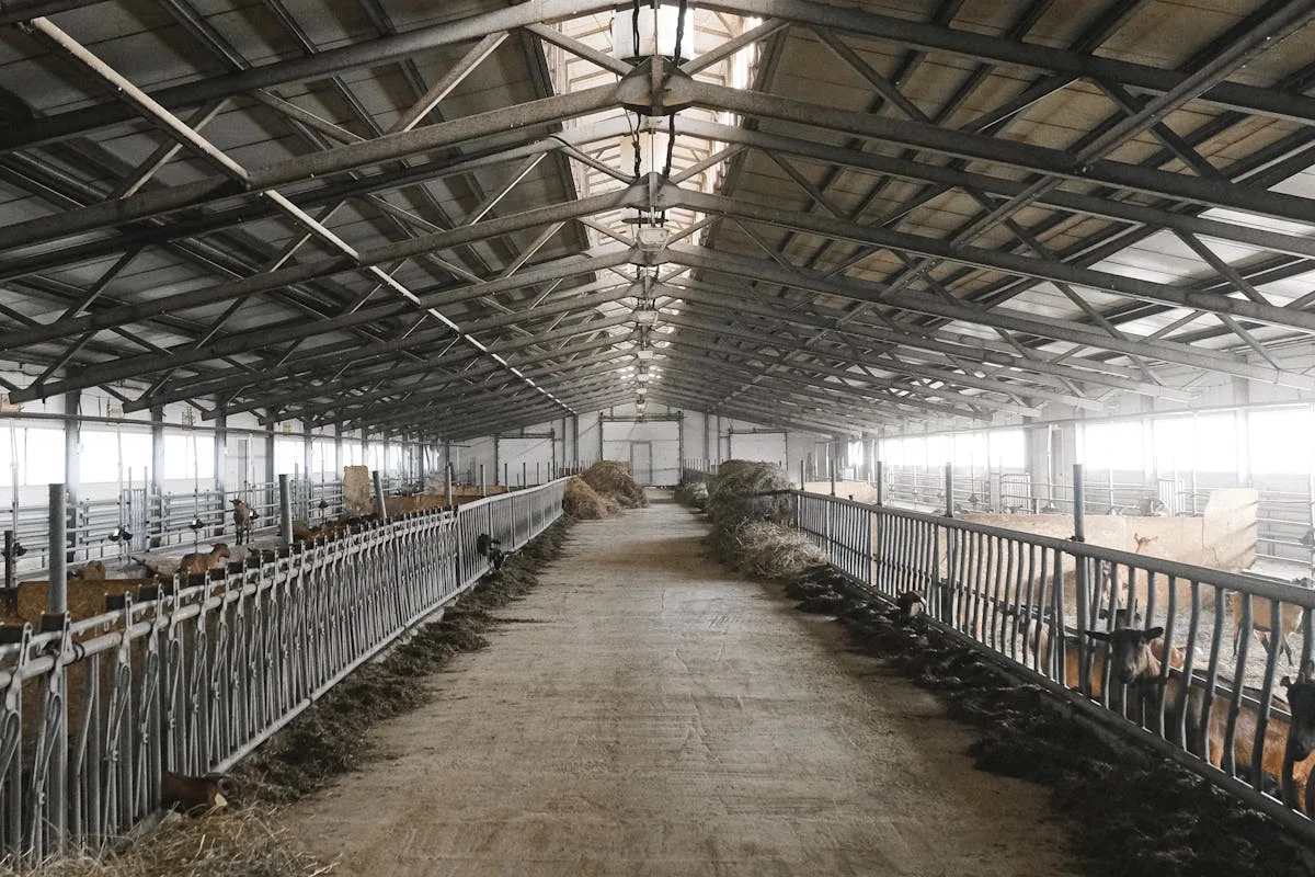 The Grain Store — Barn Conversion — Writtle, Essex